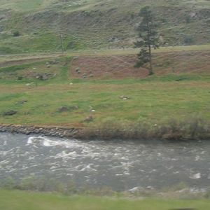 Meet your Posher, Bobbie